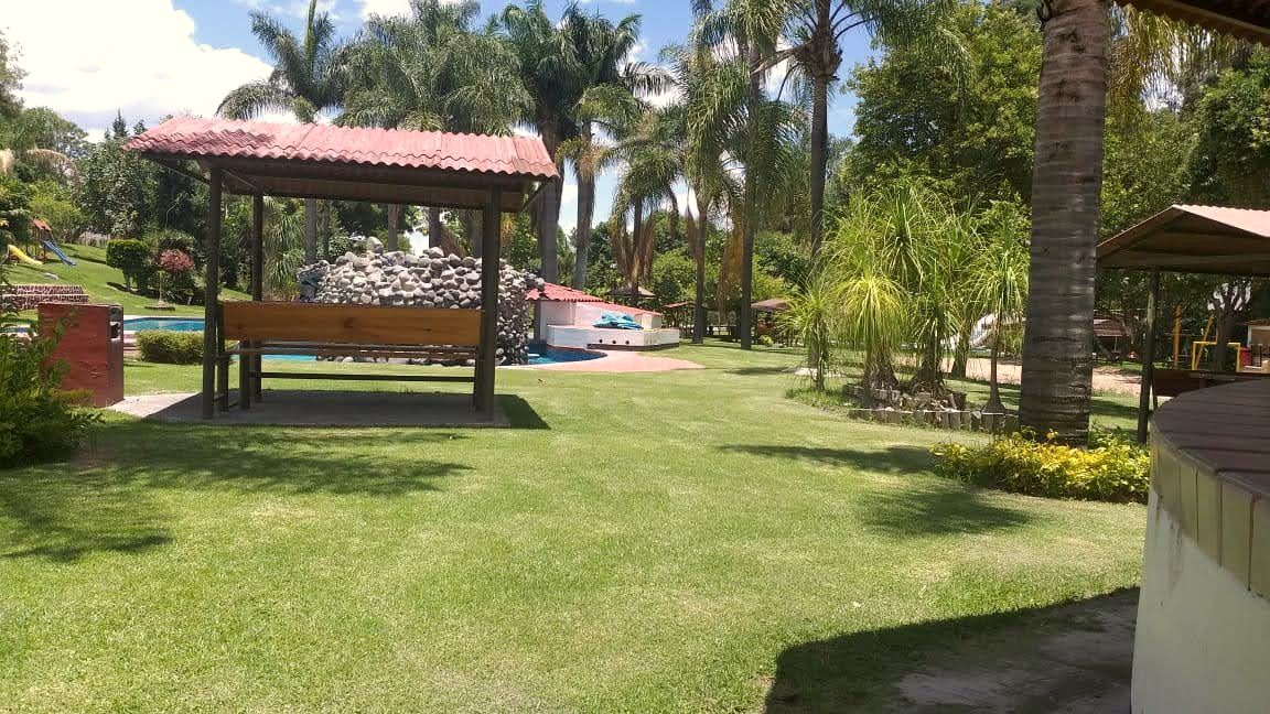 Jardín con palapa, palmeras y alberca